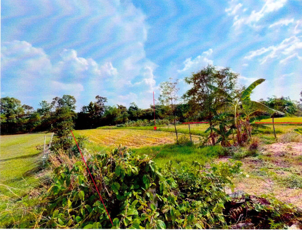 ที่ดินเปล่า ศรีสะเกษ เมืองศรีสะเกษ โพนข่า 904493