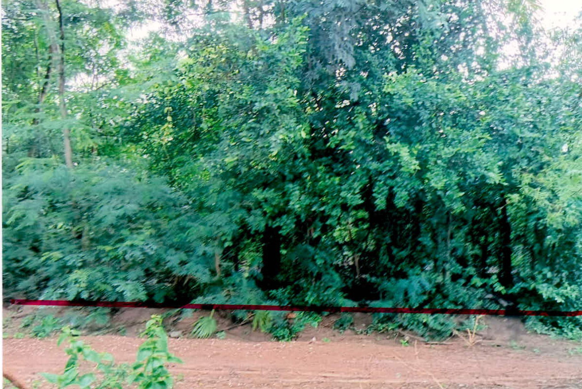 Residential land/lot Si Sa Ket Yang Chum Noi Khon Kam 90000
