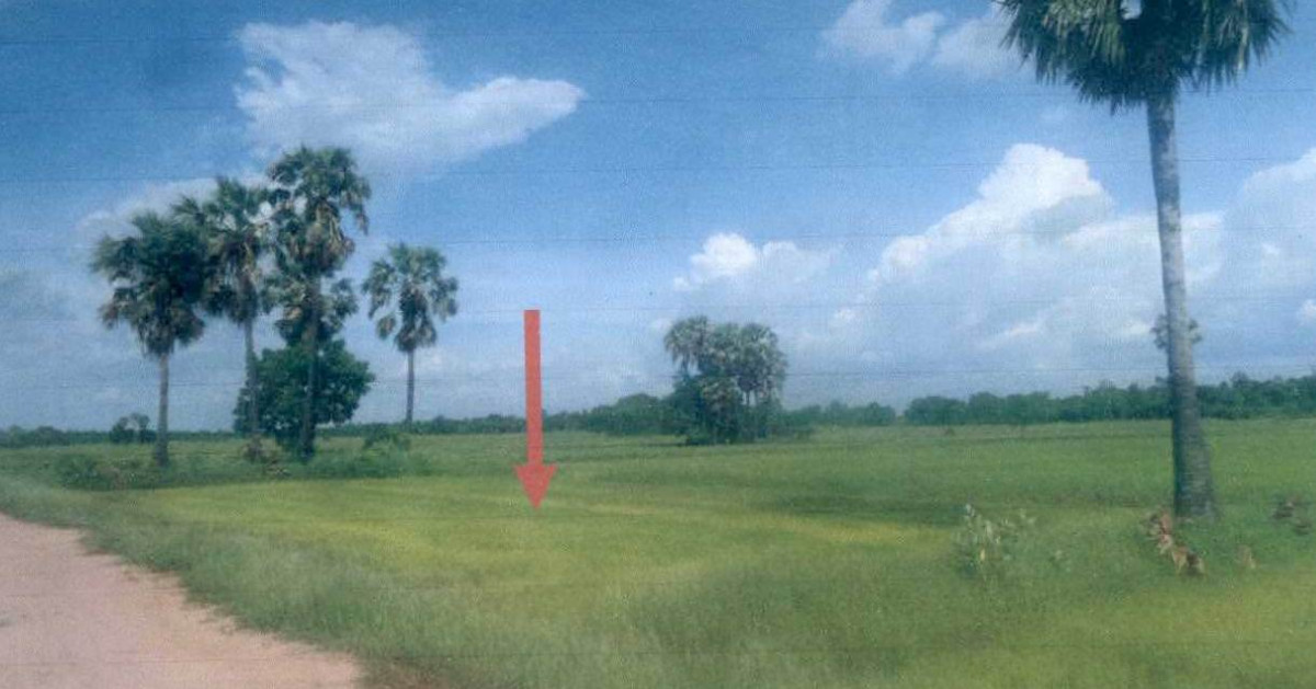 ที่ดินเปล่า นครราชสีมา โนนสูง ใหม่ 88200