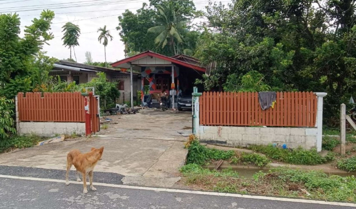Single house Nakhon Si Thammarat Thung Song Thi Wang 1193602