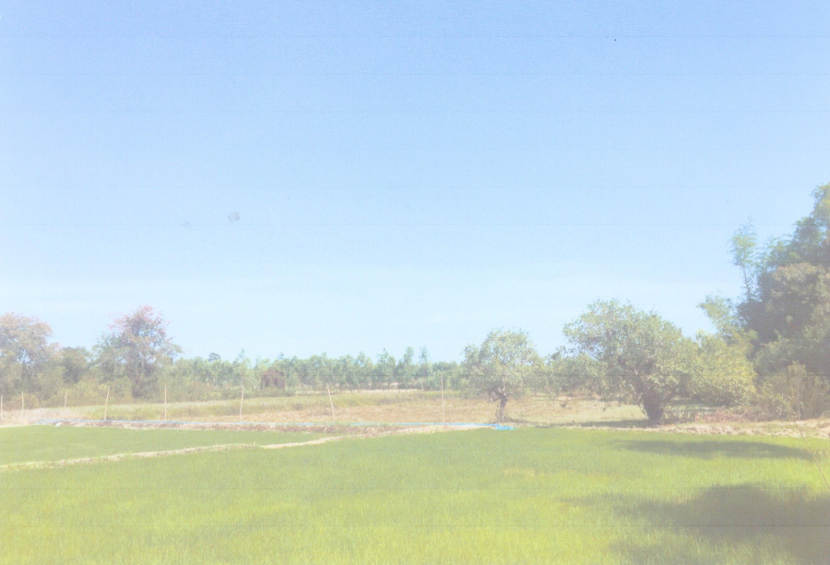 ที่ดินเปล่า ศรีสะเกษ กันทรารมย์ ทาม 114400