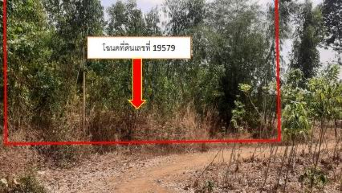 ที่ดินเปล่า กาฬสินธุ์ สหัสขันธ์ โนนแหลมทอง 200000