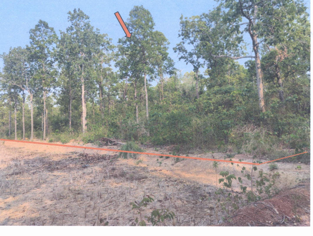 ที่ดินเปล่า นครพนม นาหว้า นาหว้า 768020