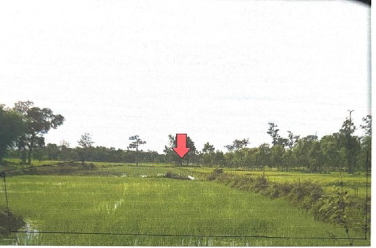 ที่ดินเปล่า นครพนม เมืองนครพนม บ้านผึ้ง 0