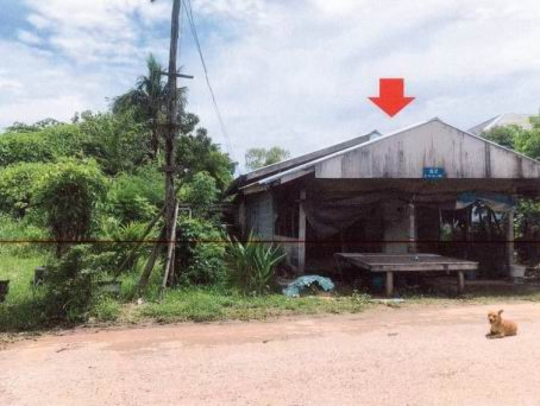 บ้านเดี่ยว กาฬสินธุ์ เมืองกาฬสินธุ์ ไผ่ 550000