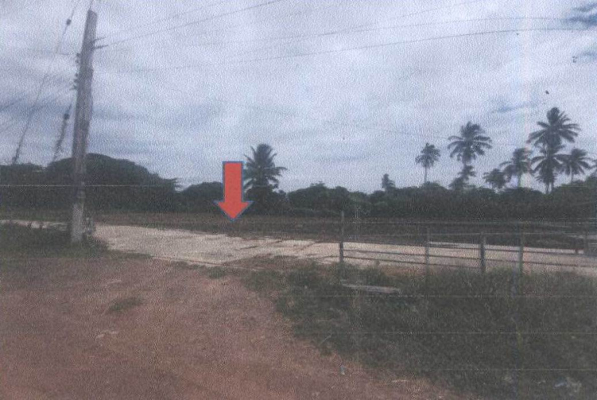 ที่ดินเปล่า นครราชสีมา ปักธงชัย ตะขบ 60600