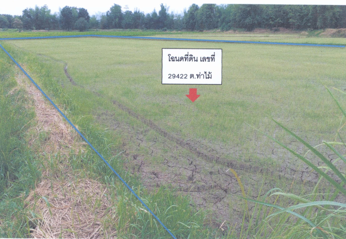 ที่ดินเปล่า กำแพงเพชร พรานกระต่าย ท่าไม้ 278760