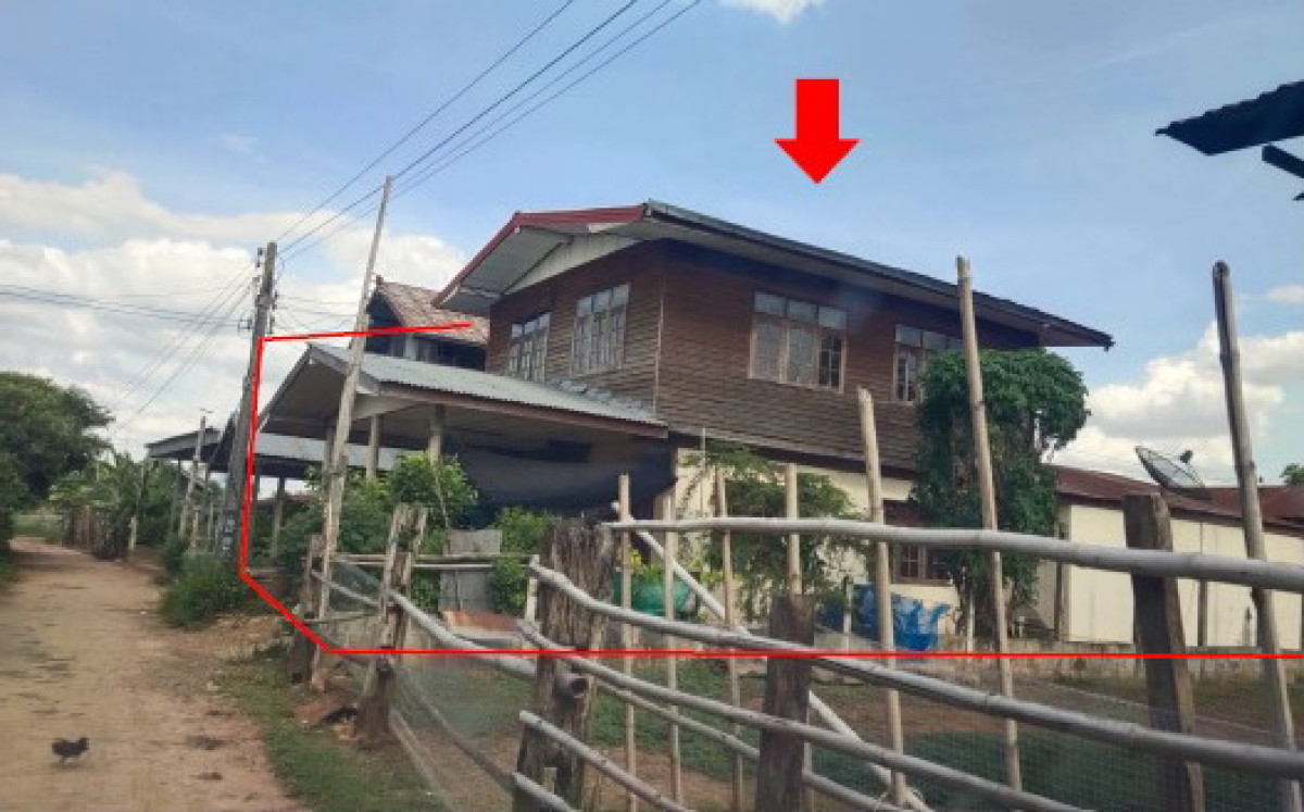 บ้านเดี่ยว บุรีรัมย์ นาโพธิ์ บ้านคู 494560