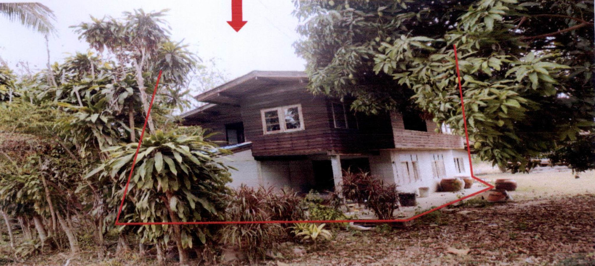 Single house Buri Ram Phlapphla Chai Sadao 1103640