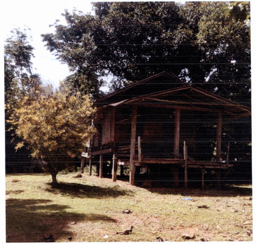 บ้านเดี่ยว สุราษฎร์ธานี วิภาวดี ตะกุกเหนือ 378970