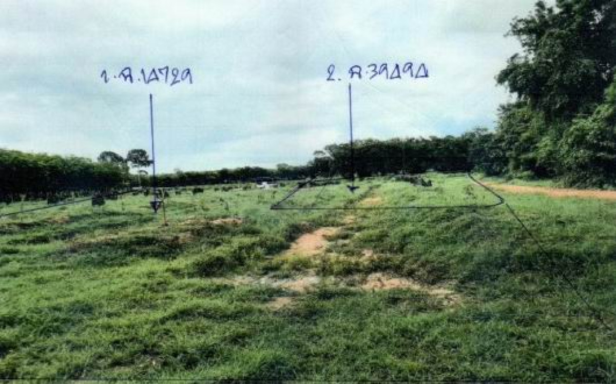 ที่ดินเปล่า บุรีรัมย์ สตึก สะแก 65700