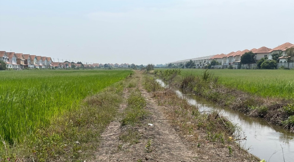 ที่ดินเปล่า กรุงเทพมหานคร หนองจอก หนองจอก 60000000