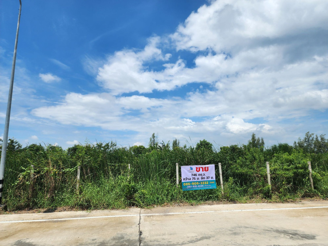 ที่ดินเปล่า ปทุมธานี ธัญบุรี บึงสนั่น 8952000