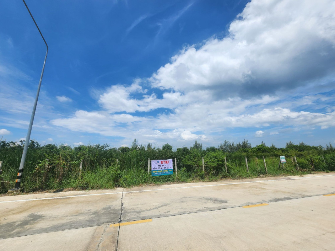 ที่ดินเปล่า ปทุมธานี ธัญบุรี บึงสนั่น 8952000