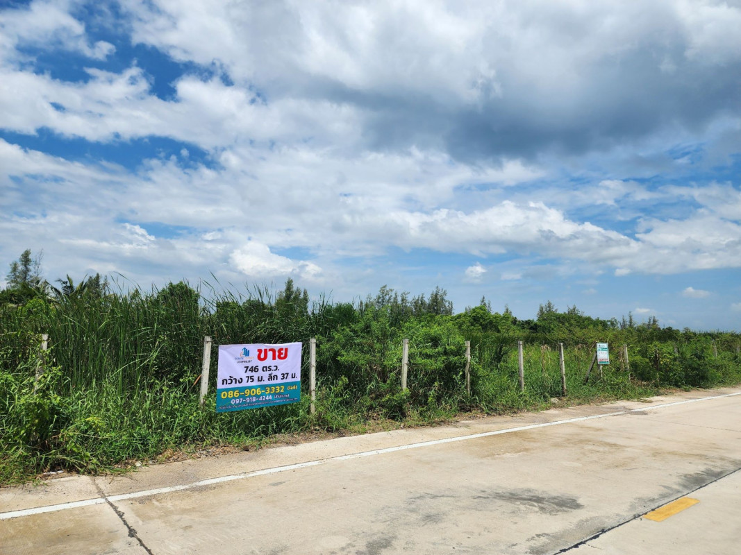 ที่ดินเปล่า ปทุมธานี ธัญบุรี บึงสนั่น 8952000