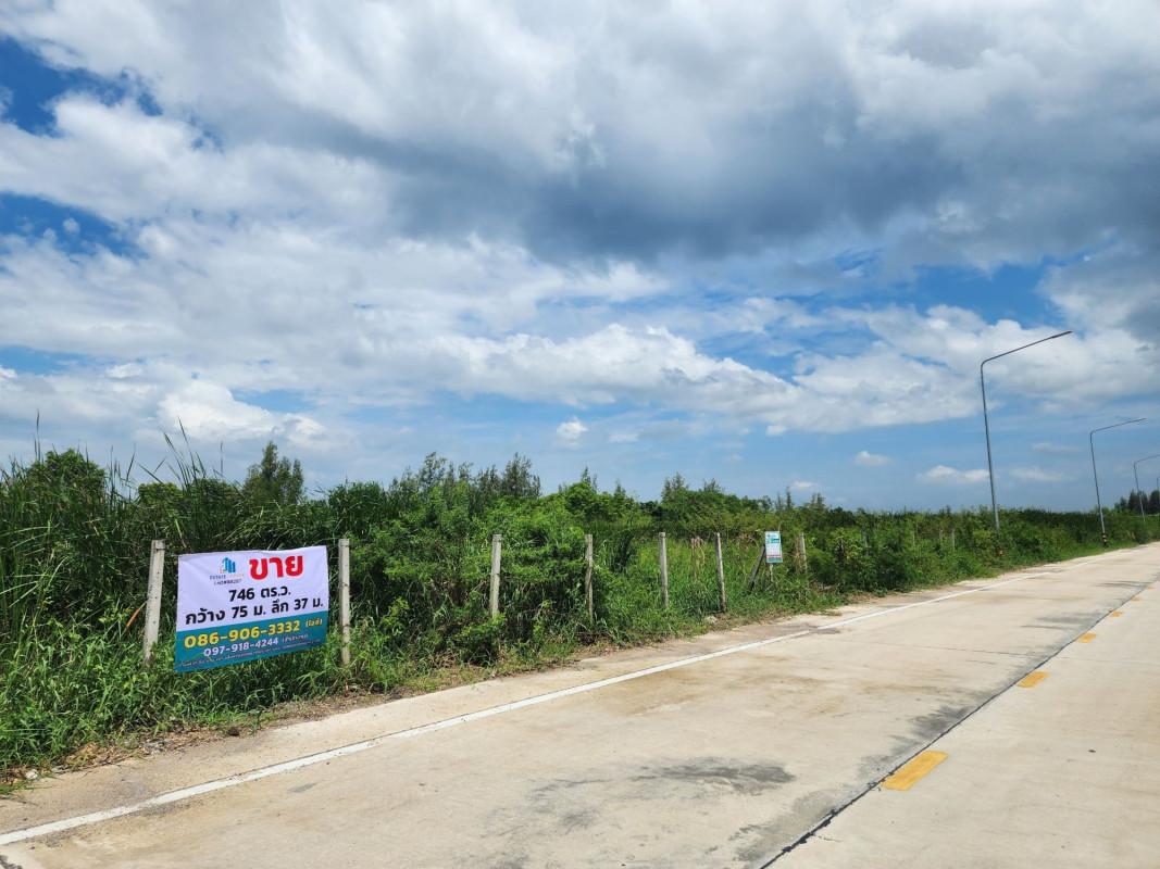 ที่ดินเปล่า ปทุมธานี ธัญบุรี บึงสนั่น 8952000