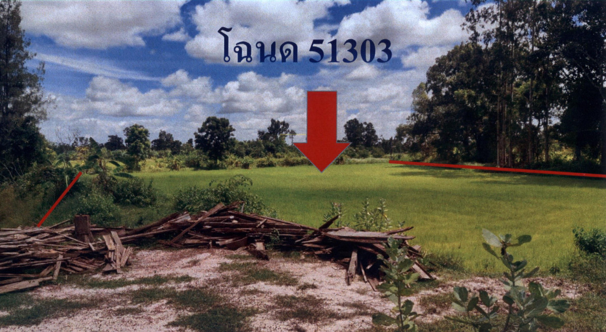 ที่ดินเปล่า บุรีรัมย์ ประโคนชัย โคกย่าง 1654400