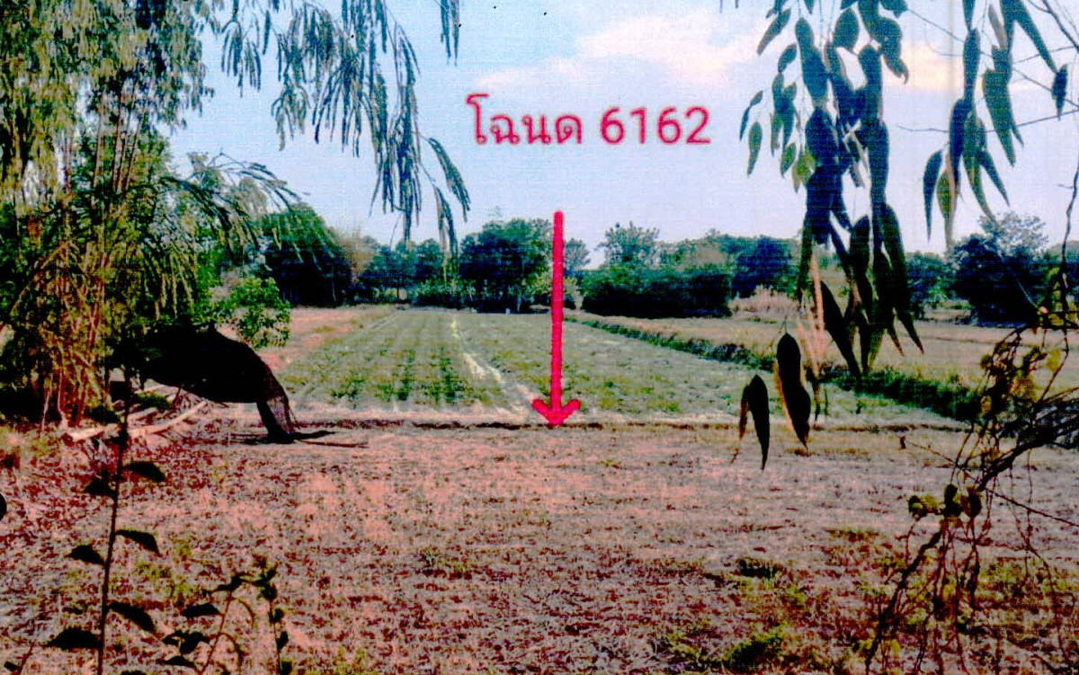 ที่ดินเปล่า ศรีสะเกษ อุทุมพรพิสัย หนองห้าง 300690