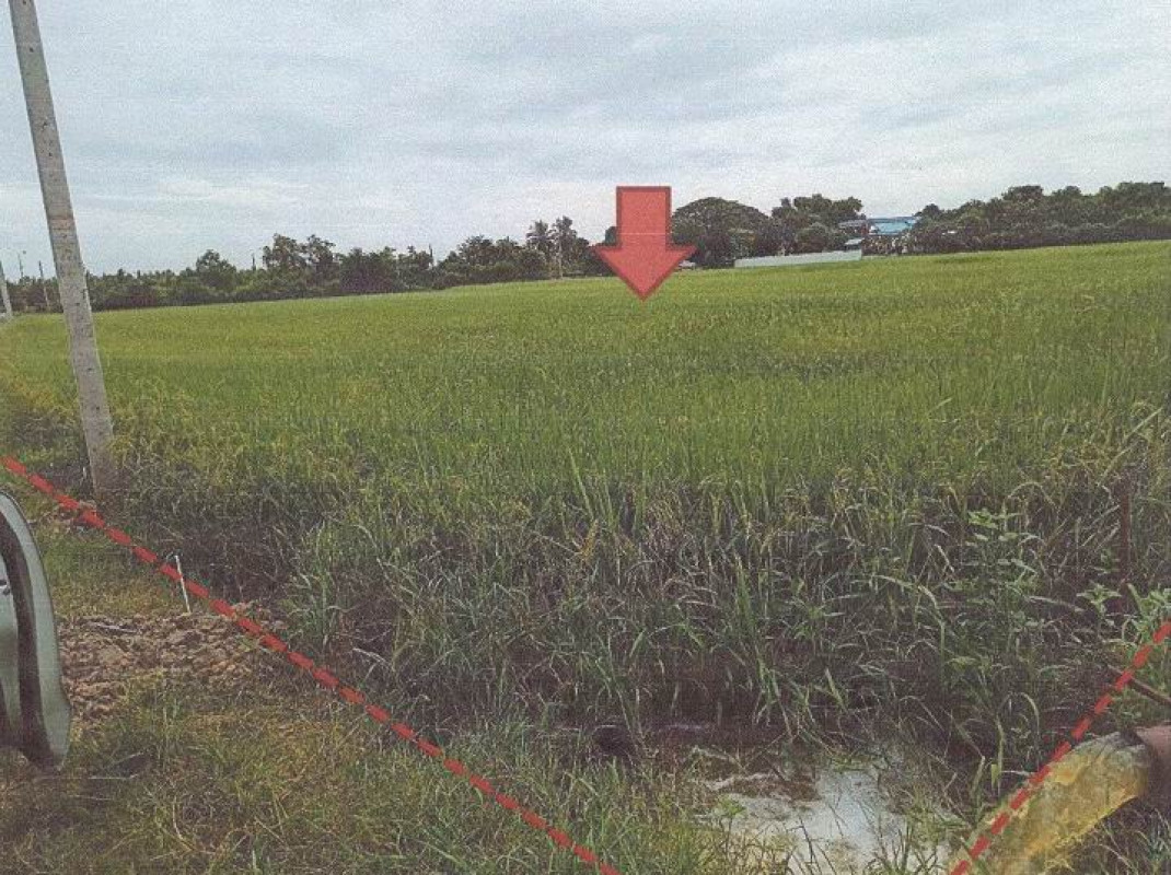 Residential land/lot Ang Thong Sawaeng Ha Wang Nam Yen 1321840