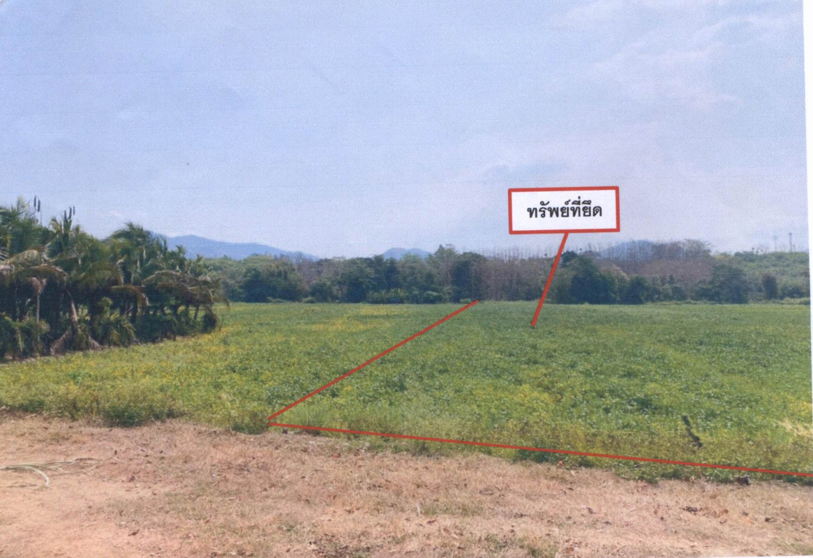 Residential land/lot Nan Ban Luang Ban Phi 87542