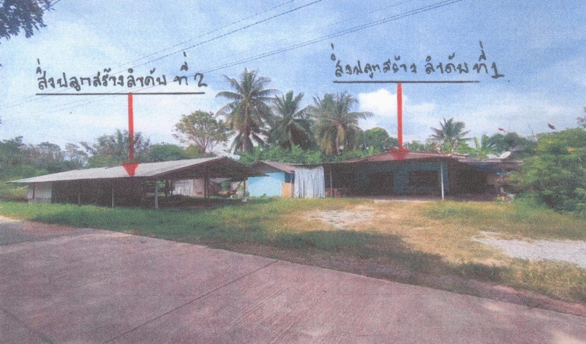 บ้านเดี่ยว ประจวบคีรีขันธ์ หัวหิน หนองพลับ 1249920