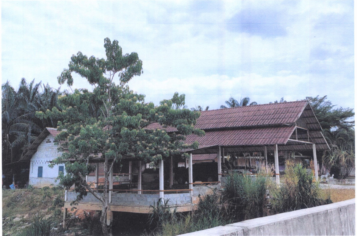บ้านเดี่ยว พังงา ทับปุด บางเหรียง 3301815