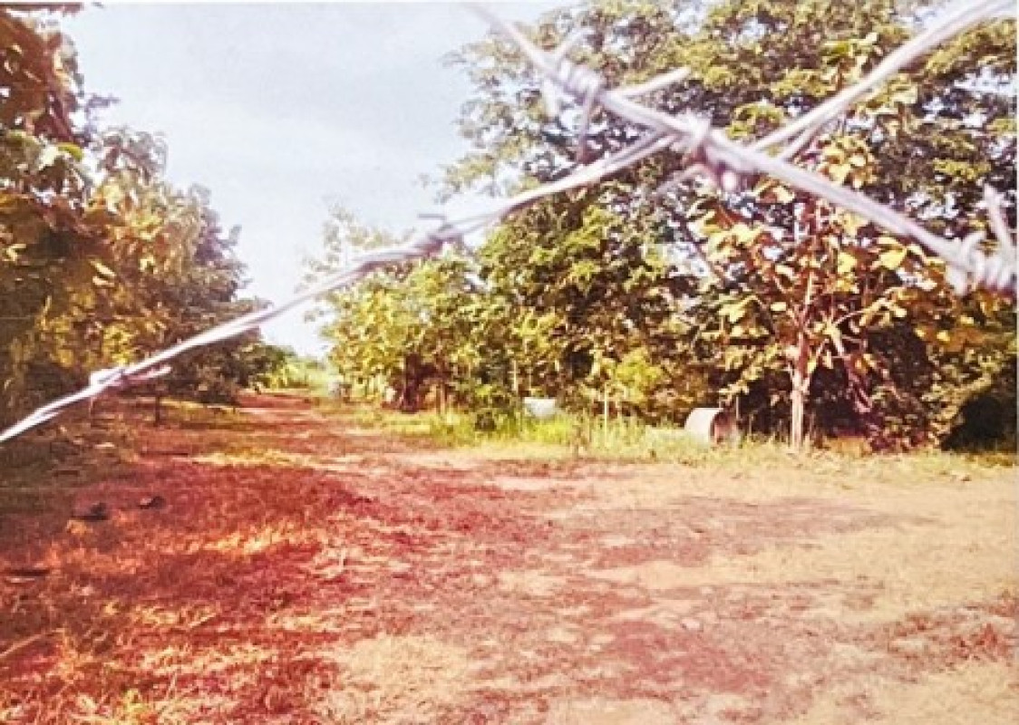ที่ดินเปล่า อุดรธานี เมืองอุดรธานี กุดสระ 1659000