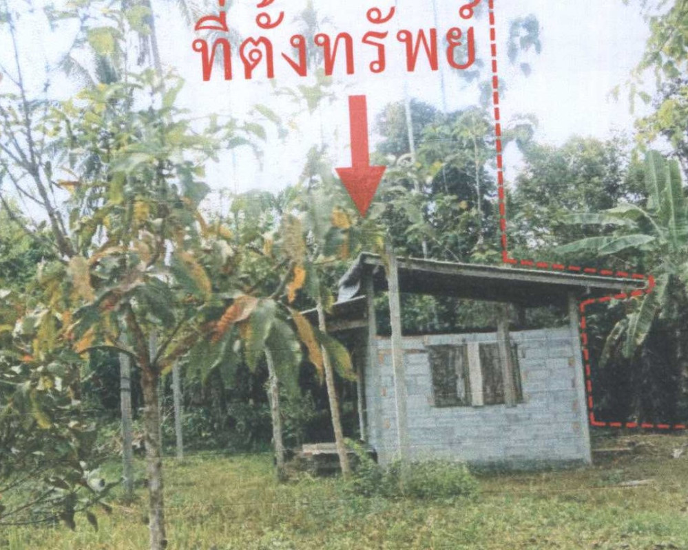 บ้านเดี่ยว นครศรีธรรมราช ฉวาง นาแว 228720