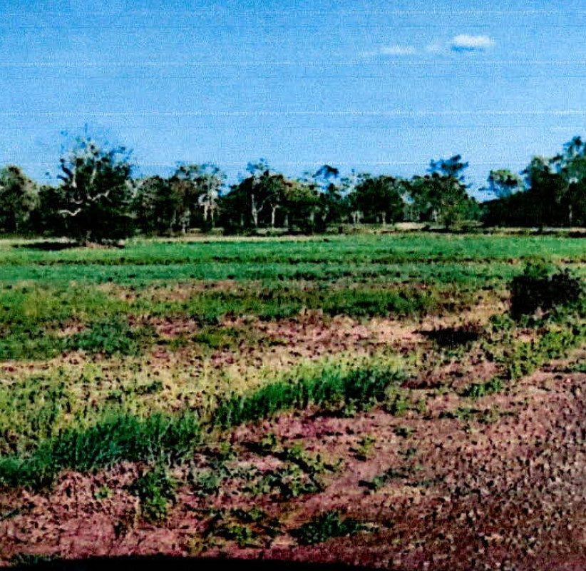 ที่ดินเปล่า ศรีสะเกษ เมืองศรีสะเกษ เมืองเหนือ 841500