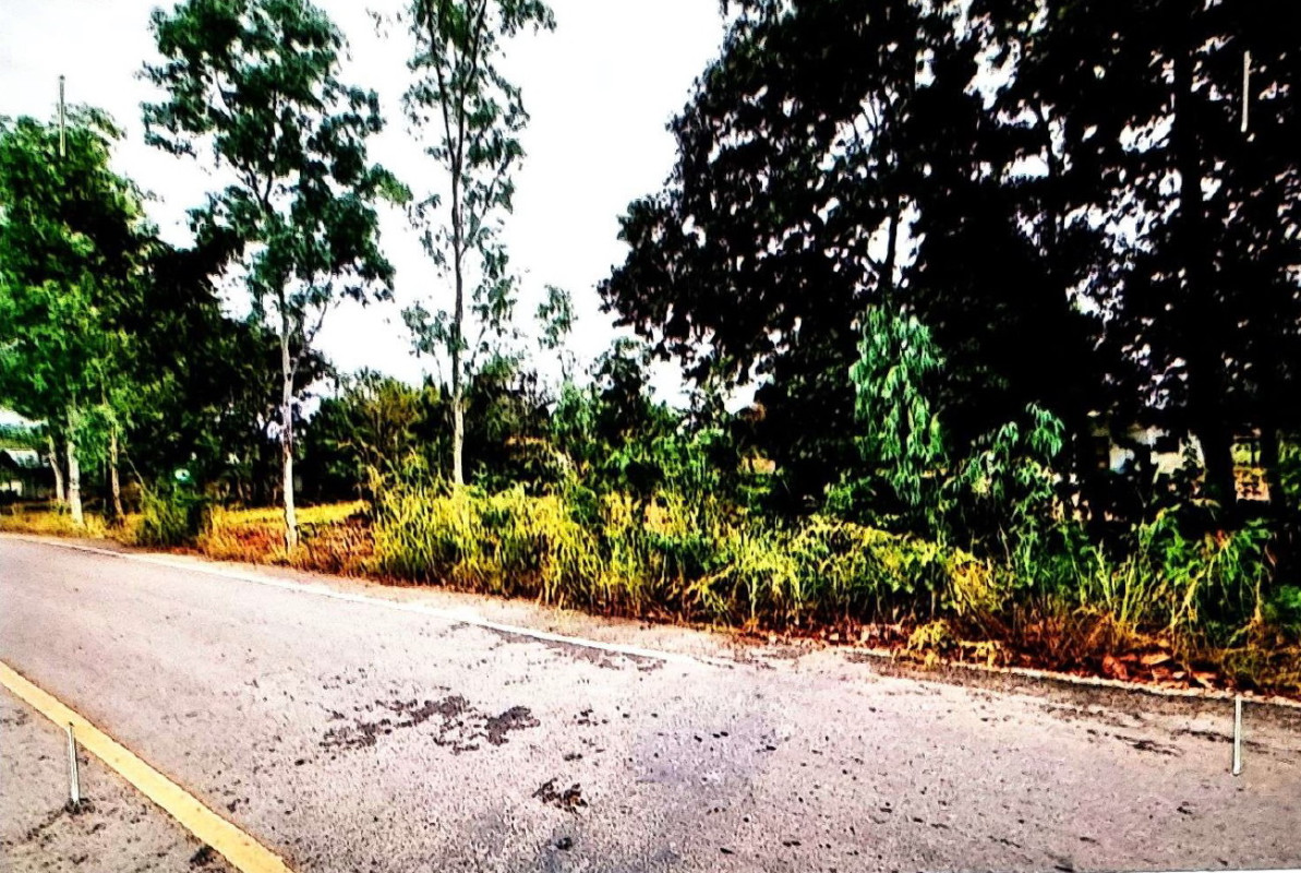 ที่ดินเปล่า อุดรธานี บ้านผือ โนนทอง 361700