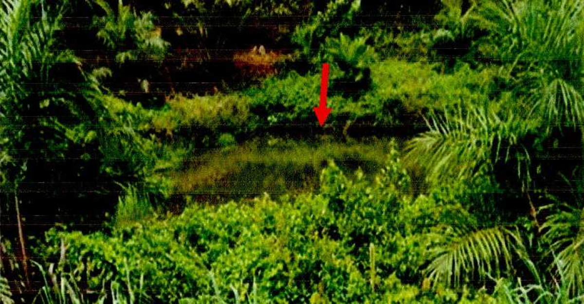 ที่ดินเปล่า ระนอง เมืองระนอง ราชกรูด 119100