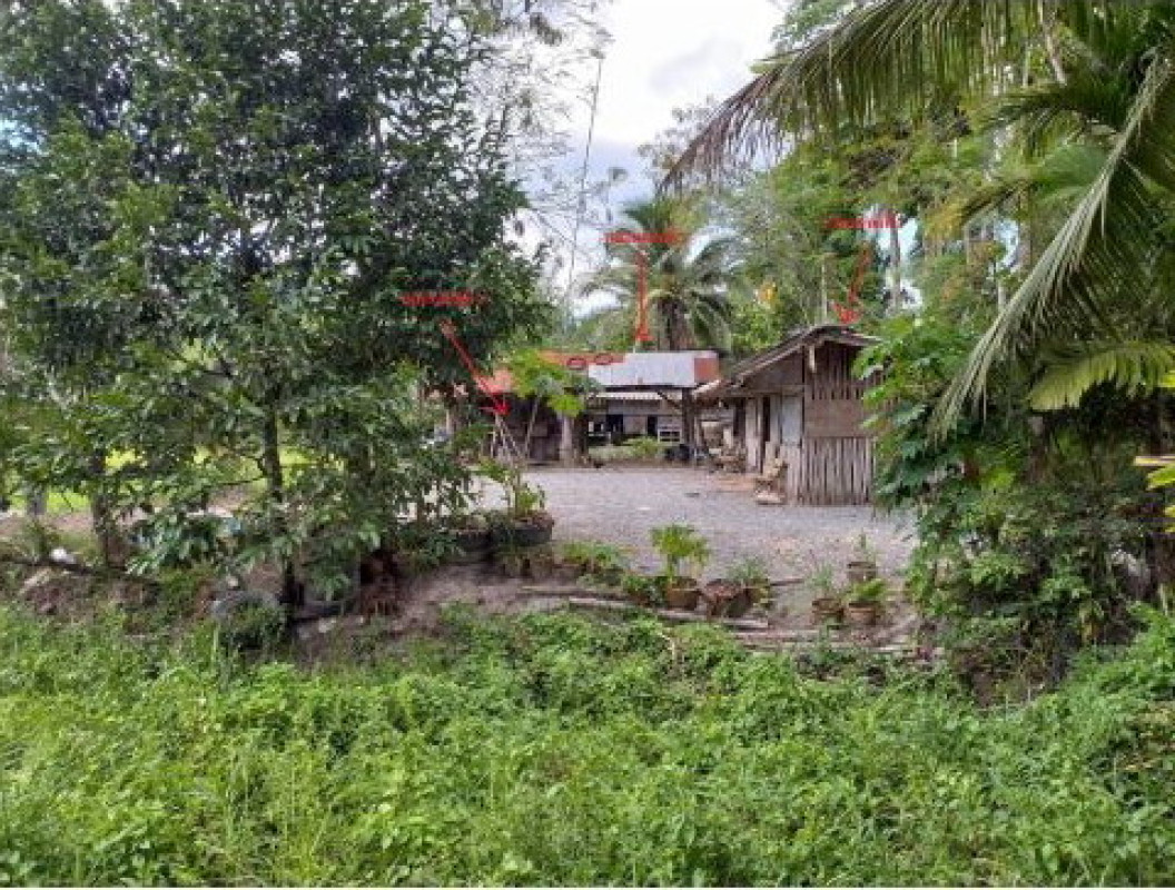 บ้านเดี่ยว นครศรีธรรมราช ชะอวด บ้านตูล 264860