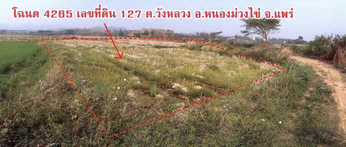 Residential land/lot Phrae Nong Muang Khai Thung Khaeo 88375