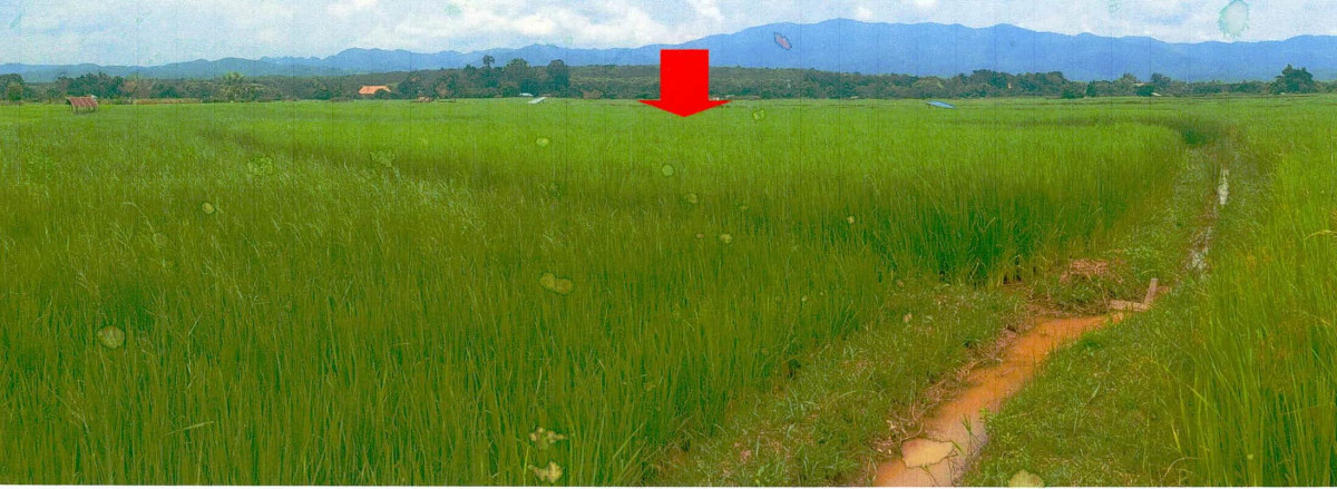 ที่ดินเปล่า น่าน นาน้อย ศรีษะเกษ 164625