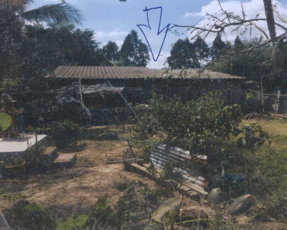 บ้านเดี่ยว ฉะเชิงเทรา แปลงยาว วังเย็น 831260