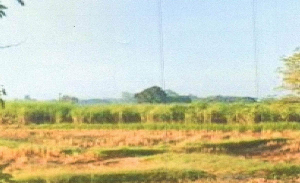 ที่ดินเปล่า ขอนแก่น หนองเรือ โนนทอง 236700