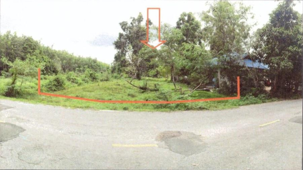 Residential land/lot Songkhla Chana Saphan Mai Kaen 1215000