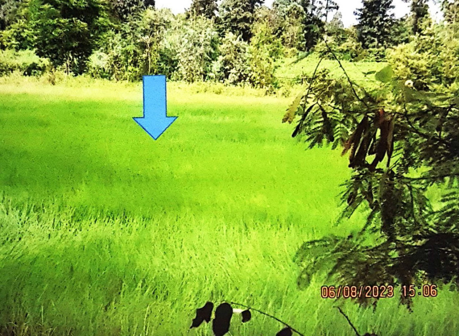 Residential land/lot Sakon Nakhon Ban Muang Bo Kaeo 147600