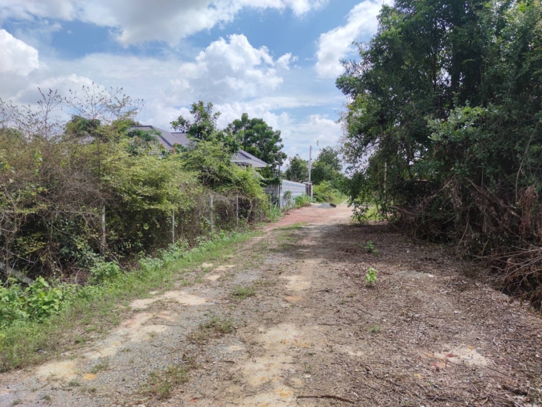 Residential land/lot Nakhon Ratchasima Mueang Nakhon Ratchasima Khok Sung 350000