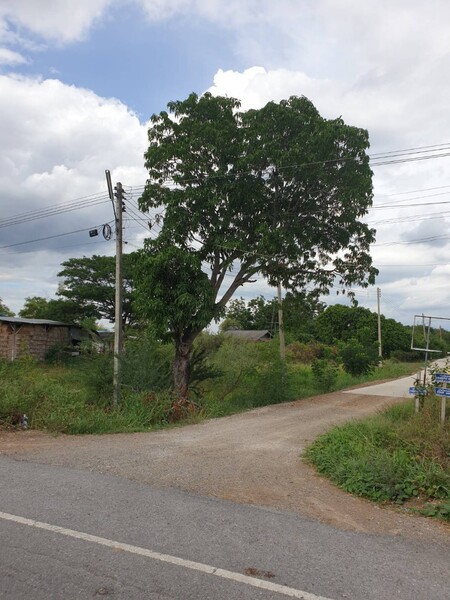 ที่ดินเปล่า ลพบุรี พัฒนานิคม พัฒนานิคม 762000