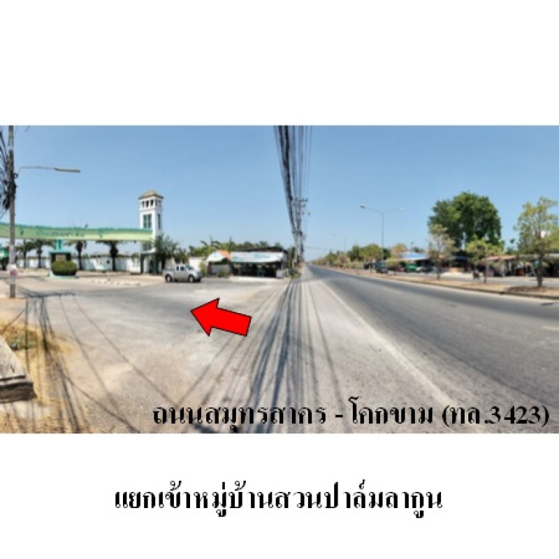 บ้านเดี่ยว สวนปาล์ม สมุทรสาคร เมืองสมุทรสาคร โคกขาม 4335300