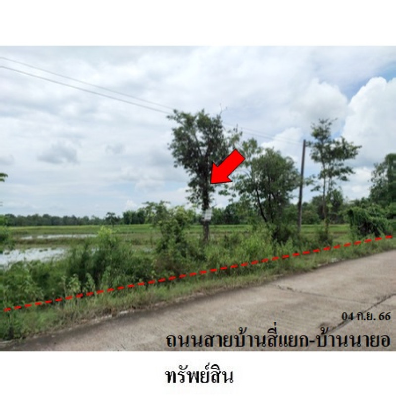 ที่ดินเปล่า สกลนคร อากาศอำนวย บะหว้า 1090000