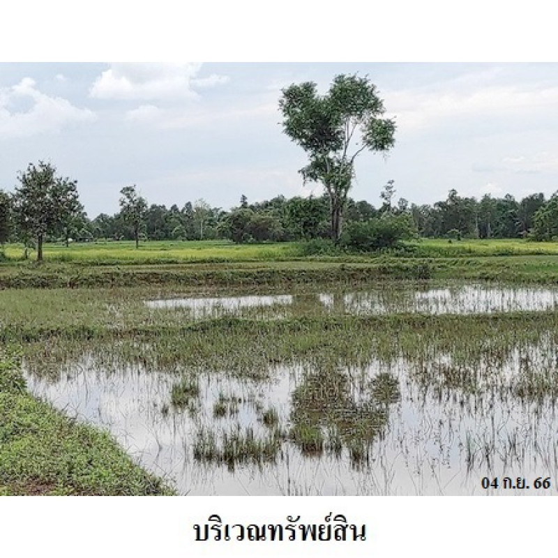 ที่ดินเปล่า สกลนคร อากาศอำนวย บะหว้า 1090000