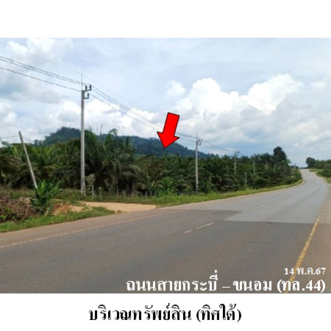 ที่ดินเปล่า สุราษฎร์ธานี พระแสง บางสวรรค์ 14144400