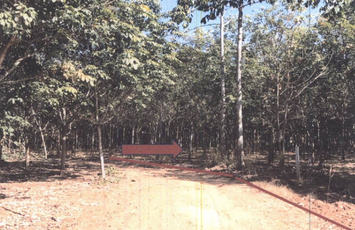 Single house Loei Wang Saphung Nong Ya Plong 2631000