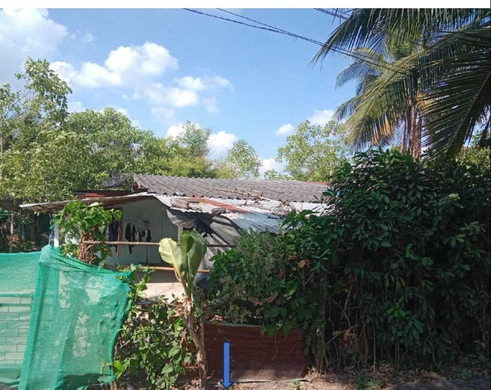 บ้านเดี่ยว ปทุมธานี หนองเสือ นพรัตน์ 372780