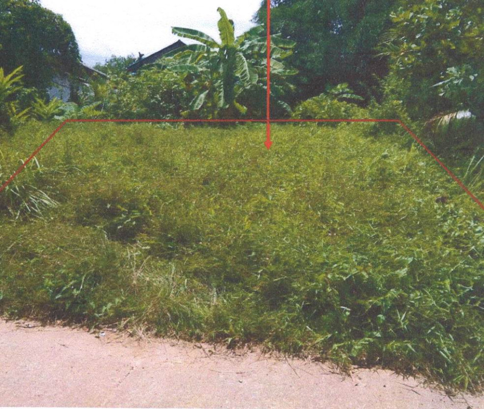 ที่ดินเปล่า ตรัง กันตัง บ่อน้ำร้อน 20850