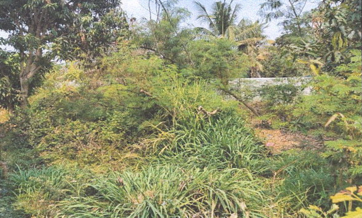 Residential land/lot Roi Et Mueang Roi Et Rop Mueang 319200