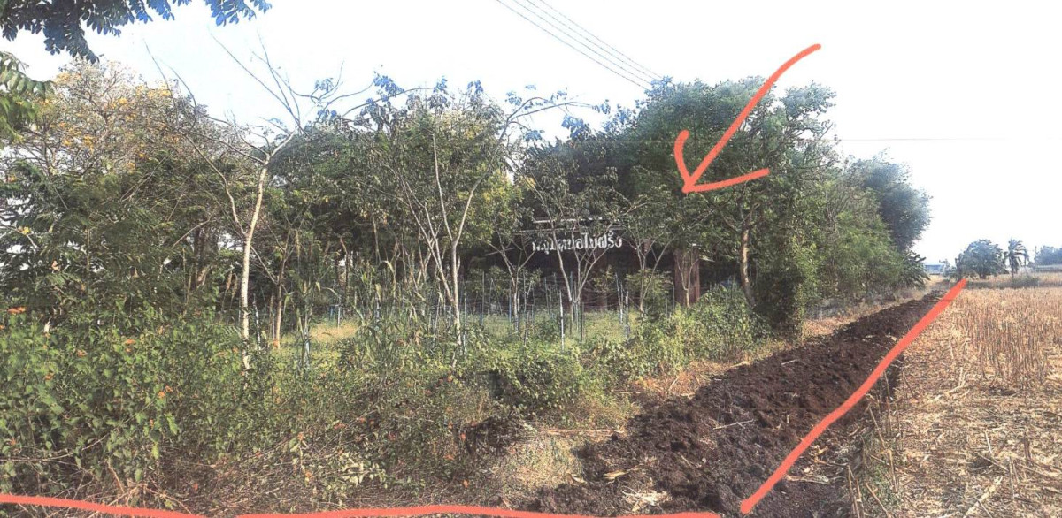 บ้านเดี่ยว สุพรรณบุรี อู่ทอง หนองโอ่ง 619880