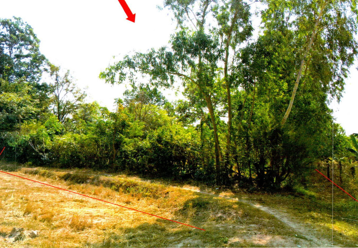 ที่ดินเปล่า ร้อยเอ็ด สุวรรณภูมิ เมืองทุ่ง 936000